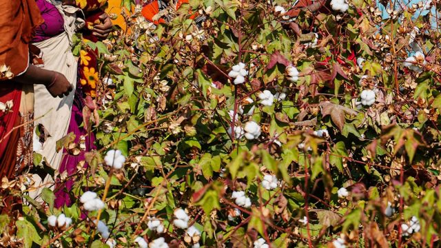 This discovery highlights the questionable ethics of fast-fashion giants.