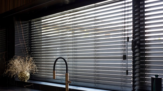 "Blinds are horribly ugly and prevent the HOA tyrants from looking into your home."