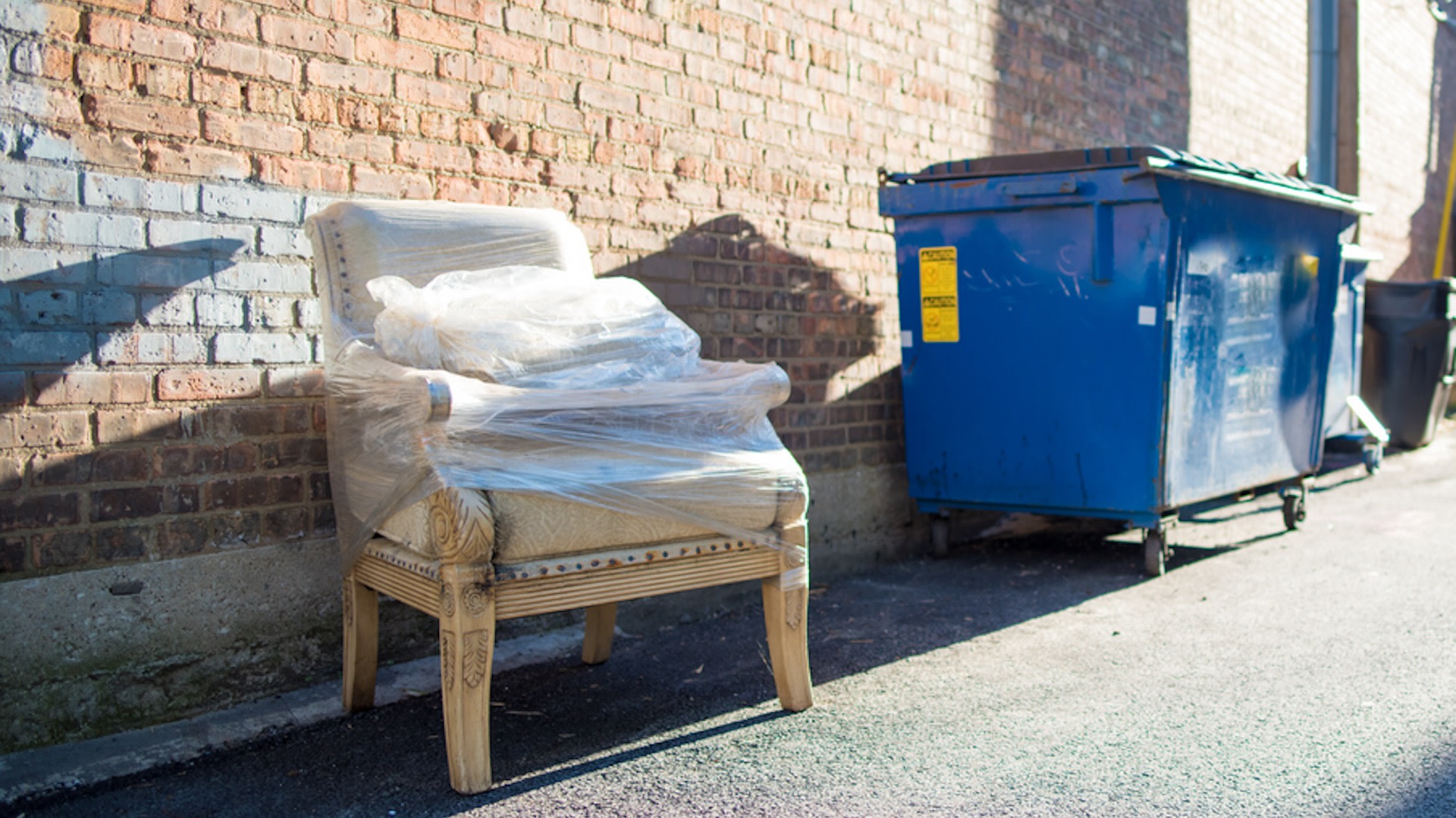 Dumpster diver makes intriguing discovery while peeking into trash: 'I go to dump the trash and find another box'