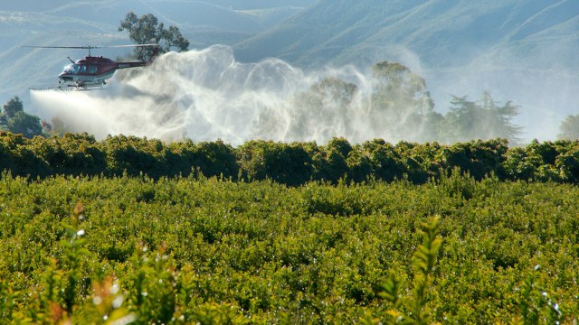 These worrying findings highlight the immediate need to ban the herbicide.