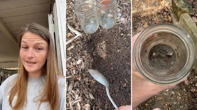 "Are you freaking kidding me?"