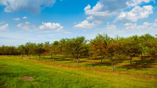 "None of us really want to get to the point where it’s considered a disaster, and now we are."