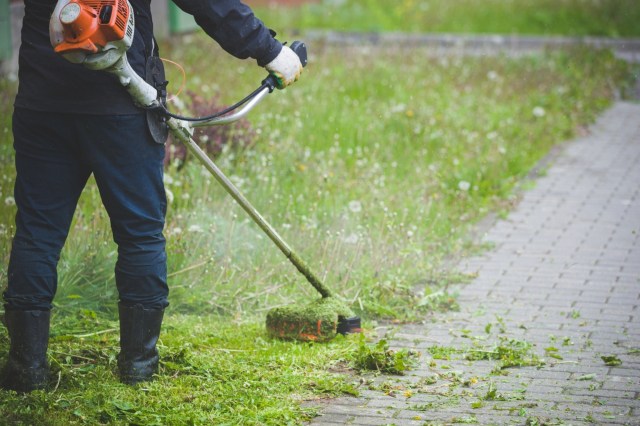 "I'll never look back."