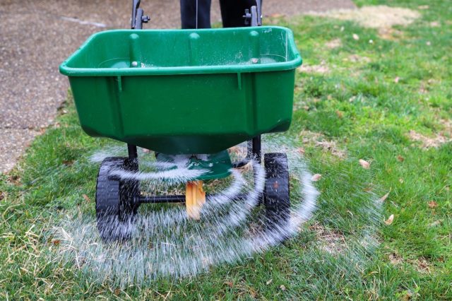 "You need to water it every day and pray."