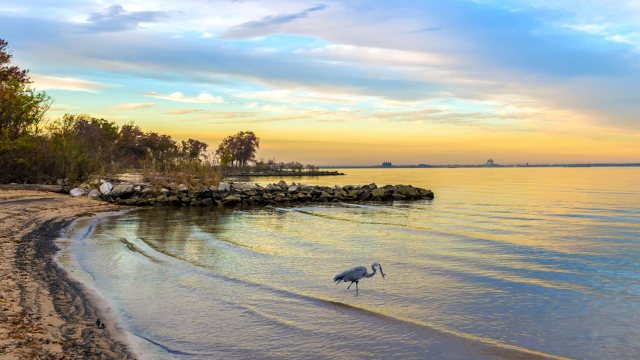 "We can preserve our wildlife, waters, and lands."