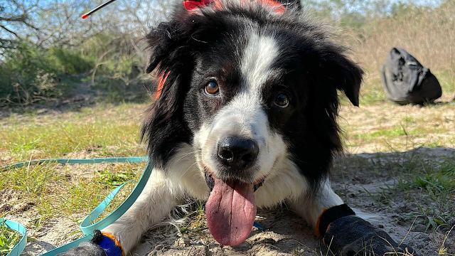 "There’s just nothing they want to do other than go to work."