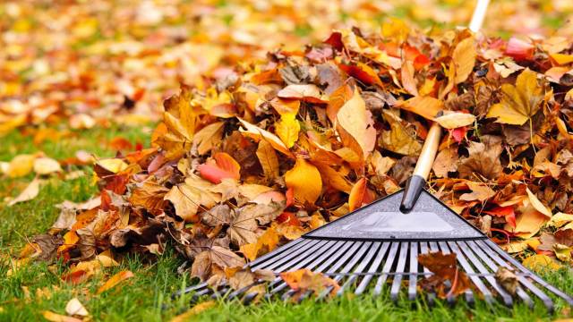 Some comments offer practical and often stinky advice on pushing back.