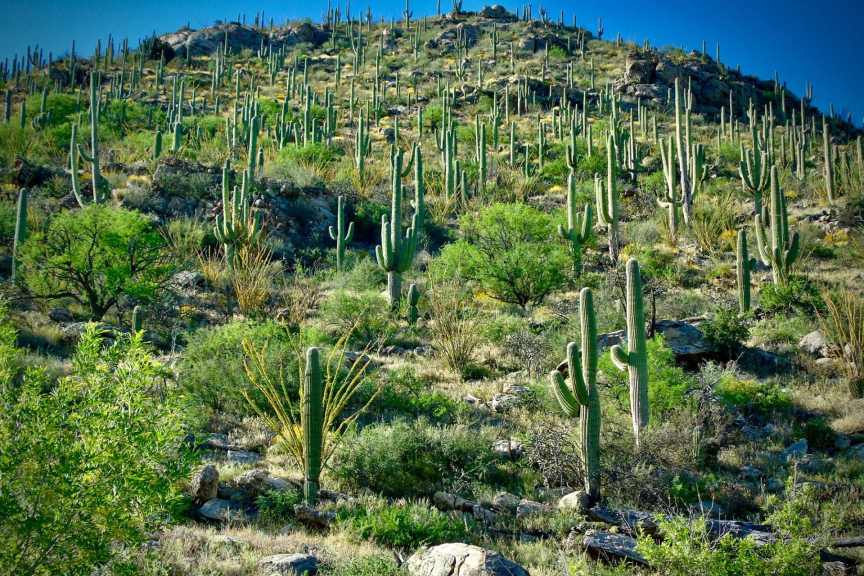 Vandal defaces iconic American Southwest feature in troubling incident: 'My  heart just sank'
