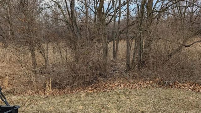 You can clearly see the marked difference.