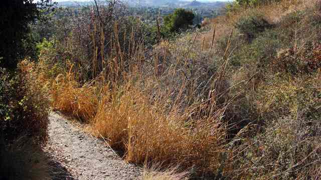 "It's a simple, low-cost method that could be a first step for restoring these systems."