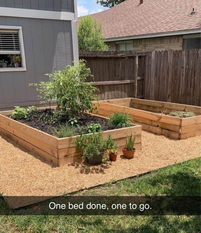 "Is there anything I can [do]?"