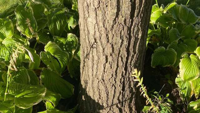 "This product is among the most evil inventions..."