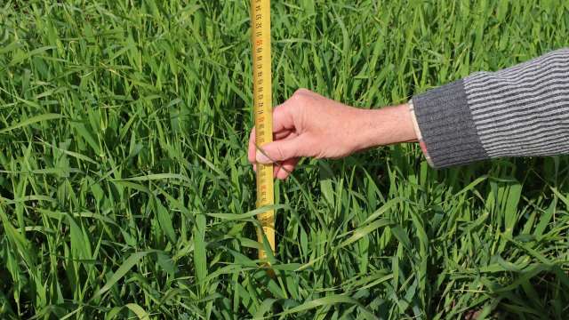 "We went to the city hall yesterday after our third ordinance notice."