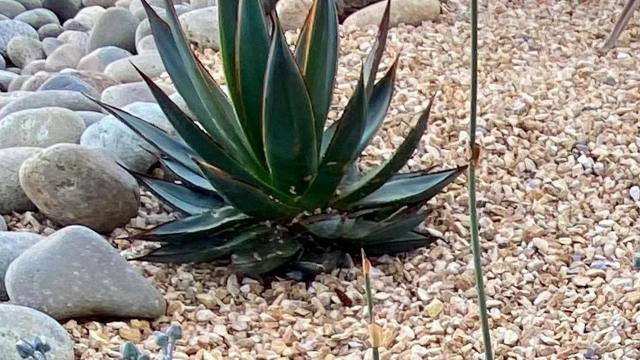 "Absolutely stunning!"