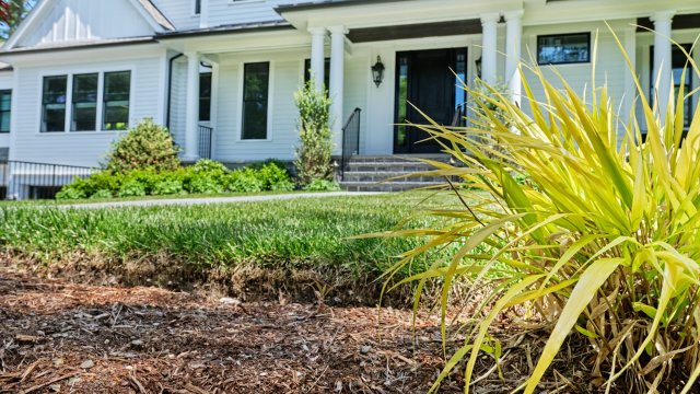 "It's disgusting how some municipality can … sentence all native plants to death."