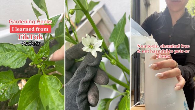 "Needed this advice."