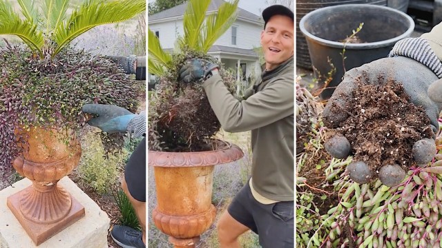 "Here’s how I get them ready"