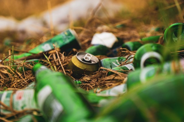 "You need to collect evidence and report.”