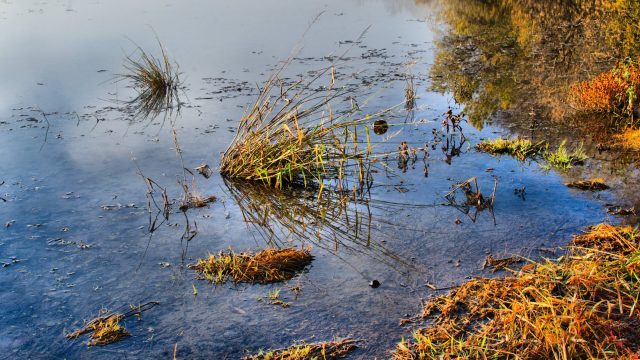 The results have been astonishing.