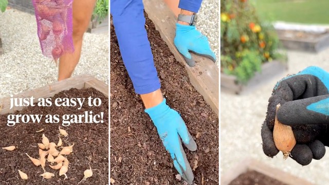 "You are missing out."