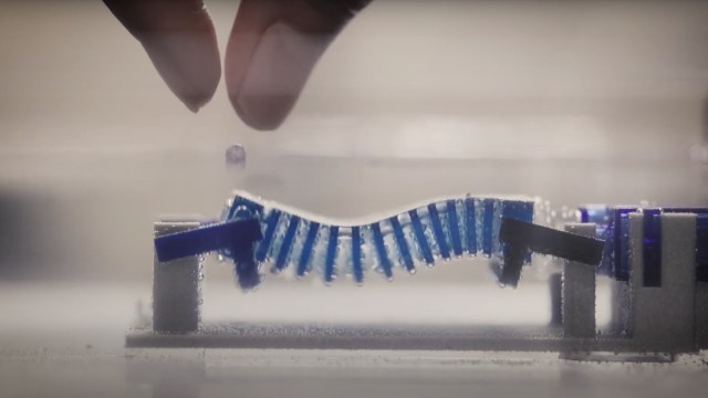 The hope is this method will provide an efficient and sustainable way to clean water across Earth.