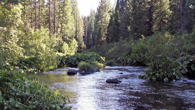 "Being able to get the California Legislature to agree to increase fines ... is a major deal."