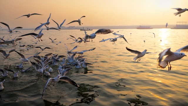 "That's basically nothing!"