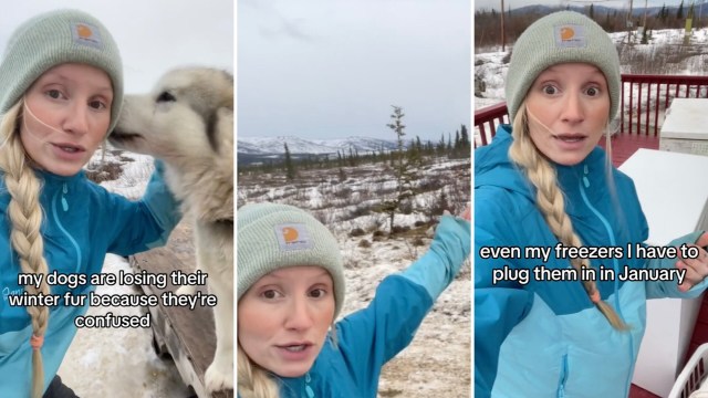 She added that her dogs were shedding their winter fur prematurely.