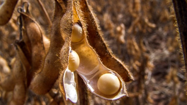 A Brazilian judge suspended a key tax law that was protecting the Amazon rainforest's deforested areas.