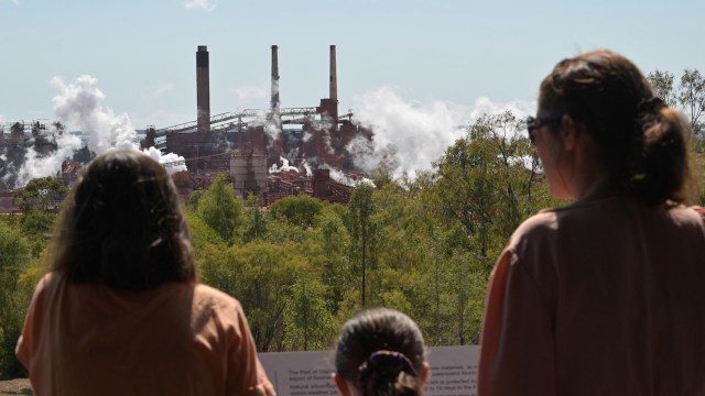 LULUCF relies on trees and plants to absorb carbon released by polluting human behavior.