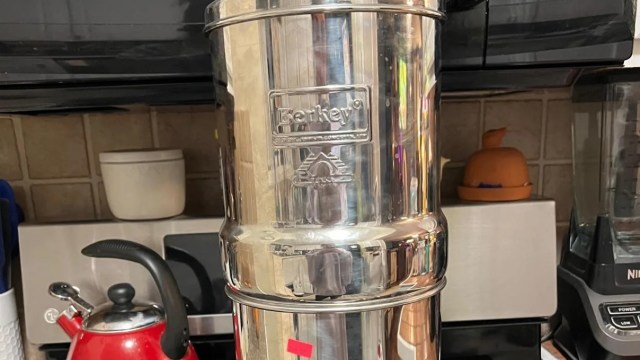 "$10!! I would have fainted!"