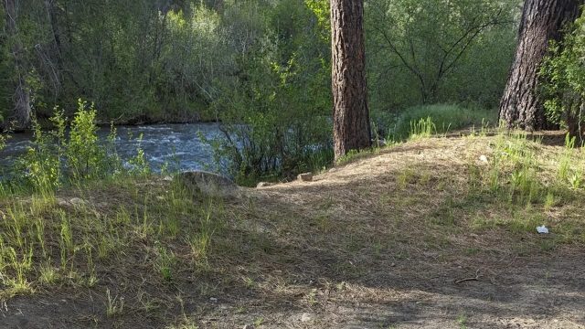 "It sucks to see people disrespect it so much."