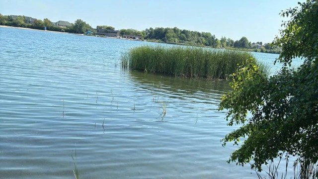 "This is so upsetting."