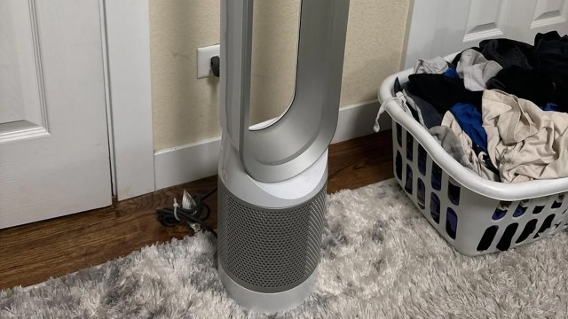 "My best find was in 1994."