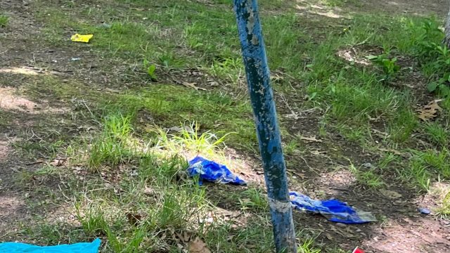 "I live near the park also and would absolutely participate in a group clean up effort."