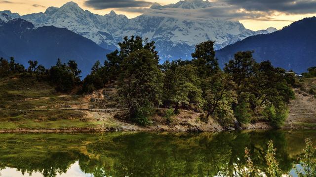 This rare sighting signals a hopeful resurgence.