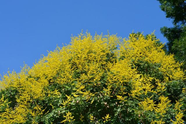 "I swear I can hear it whispering in the night 'I'm baaaaaack.'"