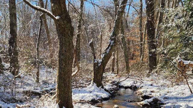 “Larger tracts of land are critical to conservation efforts, and adding to large, already protected parcels achieves many goals.”