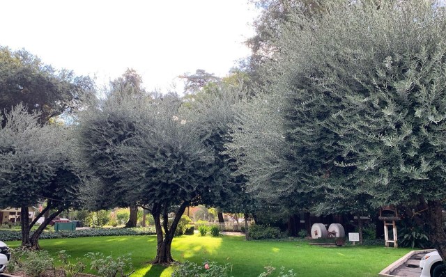 “Is this my last can?” customers now ask co-owner Maura Graber.