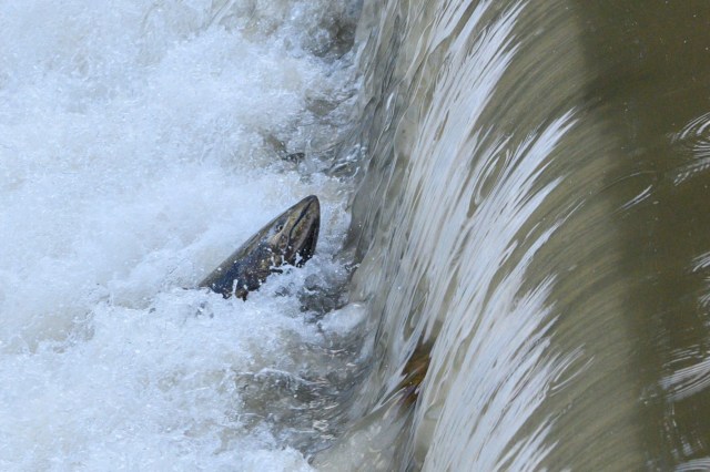 "It’s incalculable."