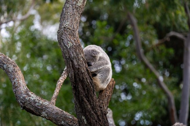 "We just want that to be done."