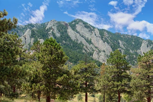 "This makes me so upset."