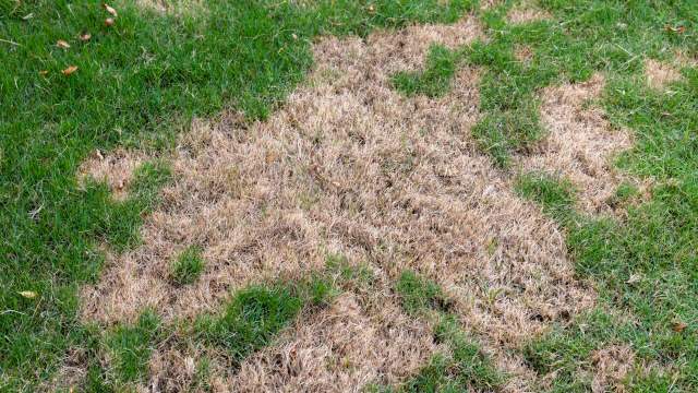 "There goes like $500."