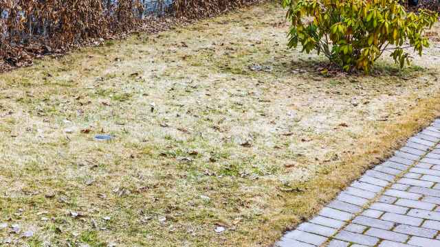 "Should I just go ahead?"