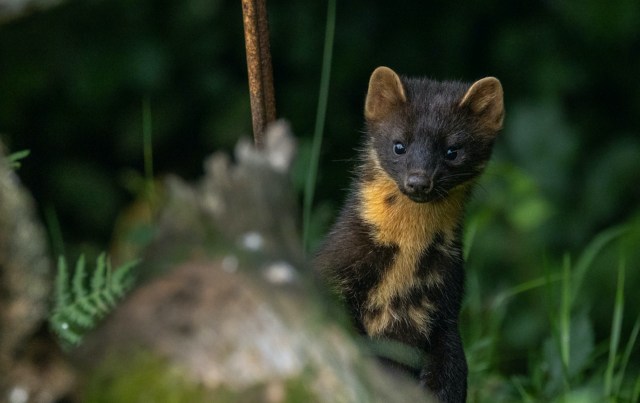 "It's one of my favorite spots."