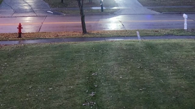 "Yes, I've asked them to stop."