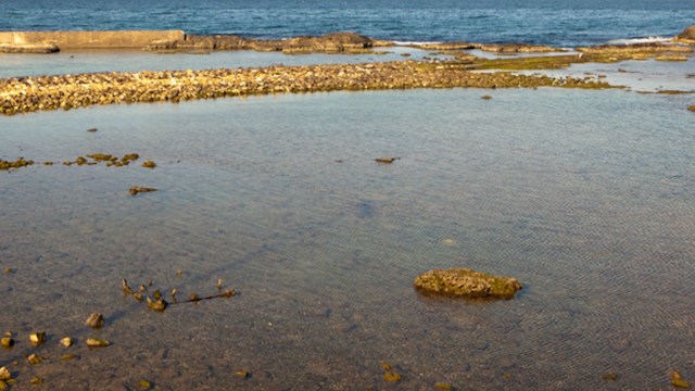 The research team collected sand at a depth of 5 centimeters from an area of 2,500 square centimeters.