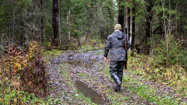 "No correlation between the number ... killed and human safety."