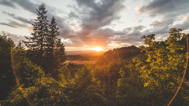 "There’s less uncertainty."