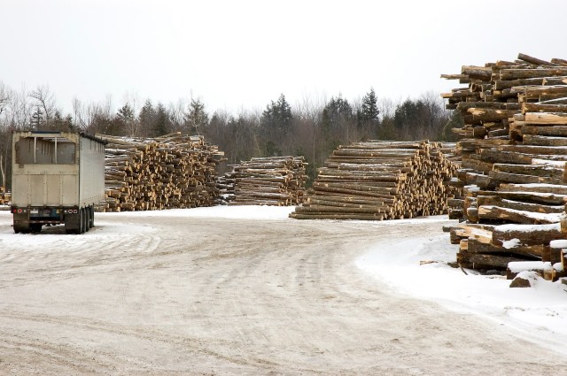 "Anybody that comes into our territory — they will be asked to leave."